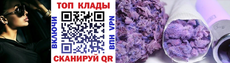 МЕФ Старая Русса