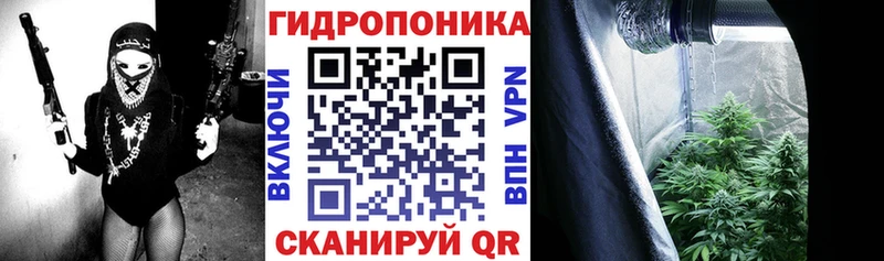 MEGA ссылка shop какой сайт Конопля планчик Старая Русса